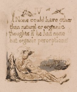 There Is No Natural Religion, Plaat 6, IV Niemand zou kunnen . . . . (Bentley a7)